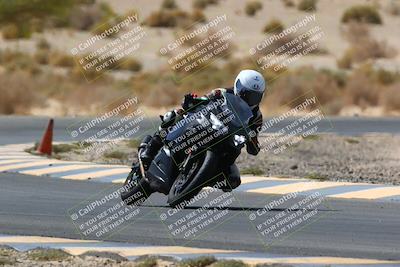 media/Apr-10-2022-SoCal Trackdays (Sun) [[f104b12566]]/Turn 5 Tree of Life (1040am)/